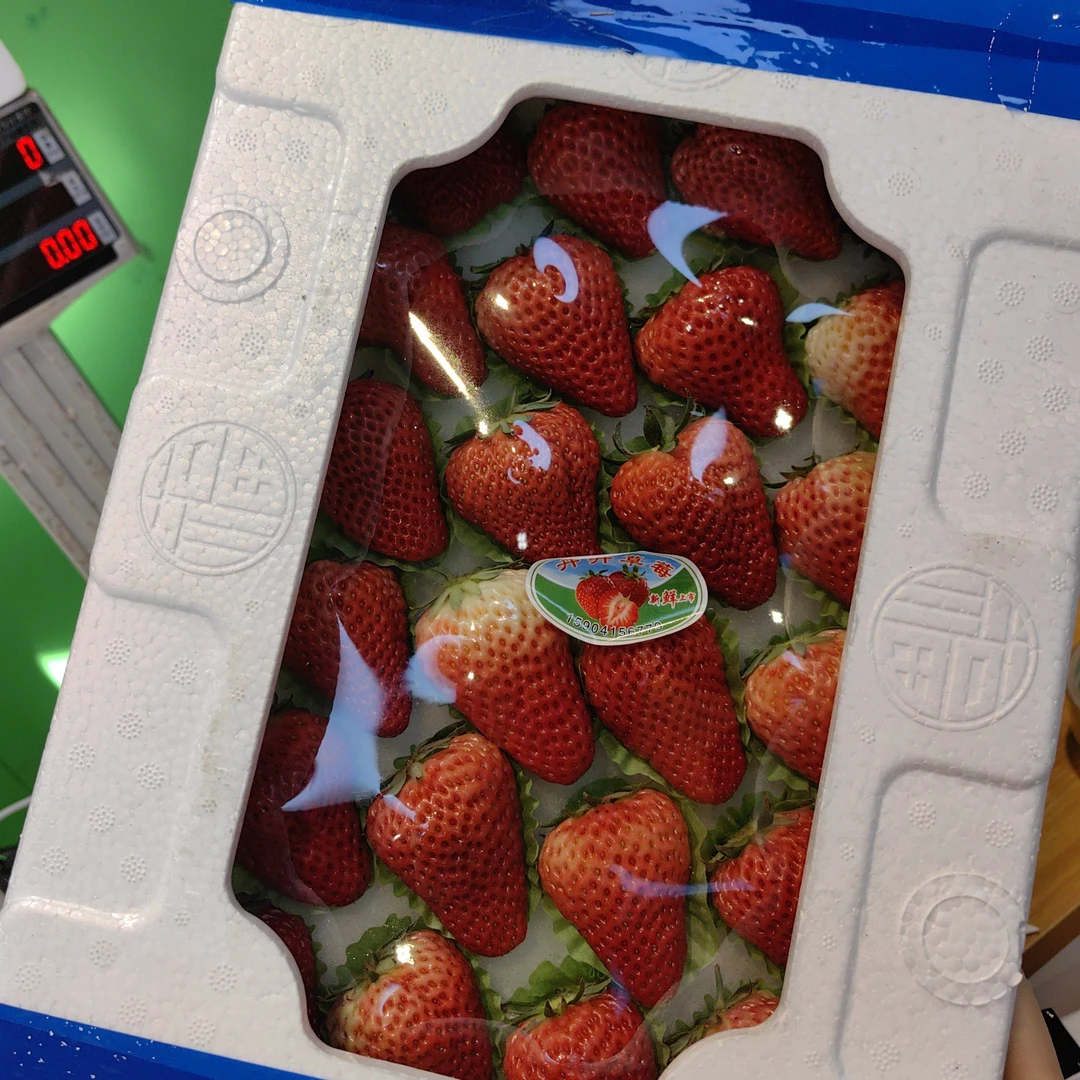 丹东特大天窗大果草莓（约2斤）