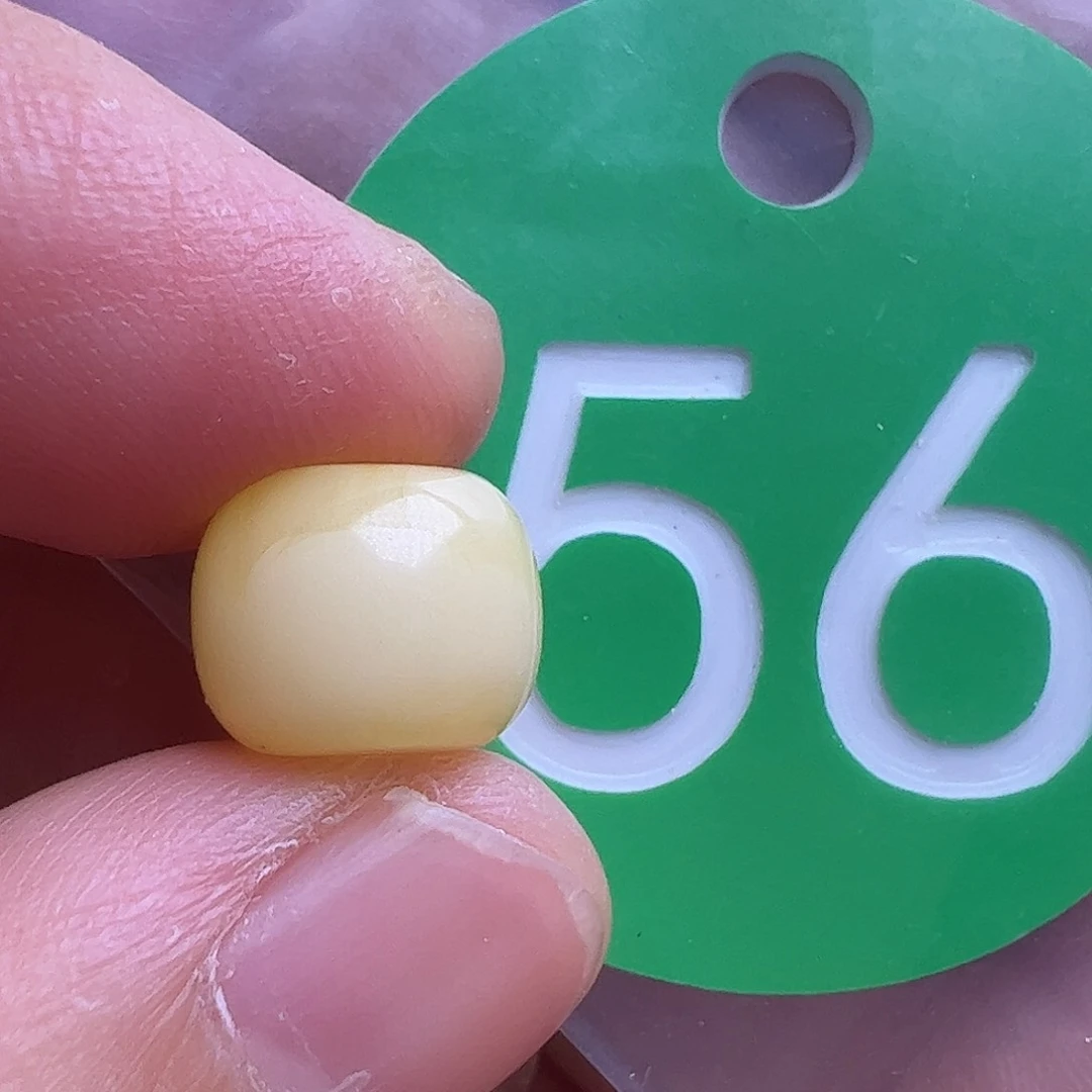 蜜蜡未镶嵌珠宝奇石10mm花粉