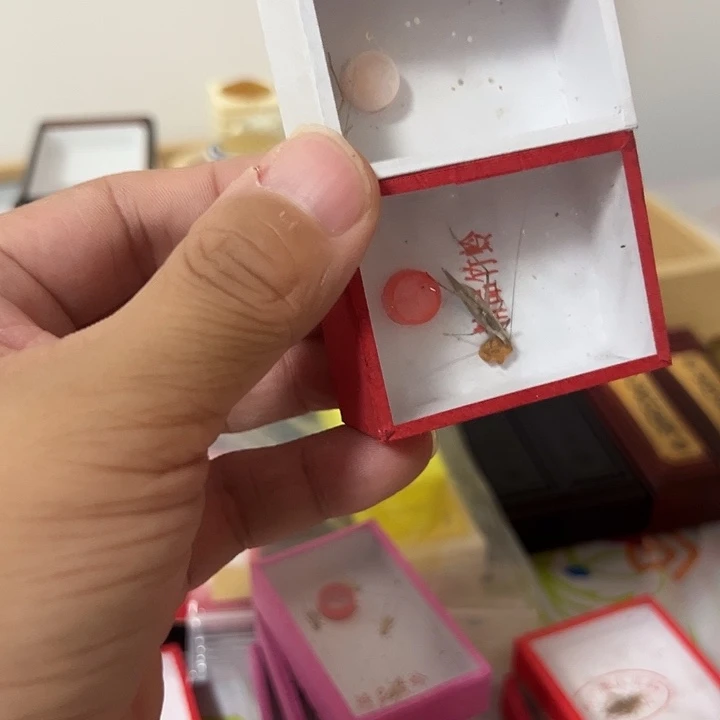 紫竹1柬埔寨1哈哈哈哈