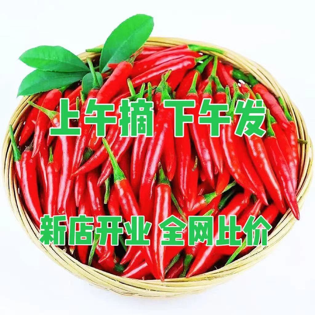 正宗小米椒新鲜现摘辣鲜椒蔬菜特辣巨辣红辣椒农家朝天椒小米辣