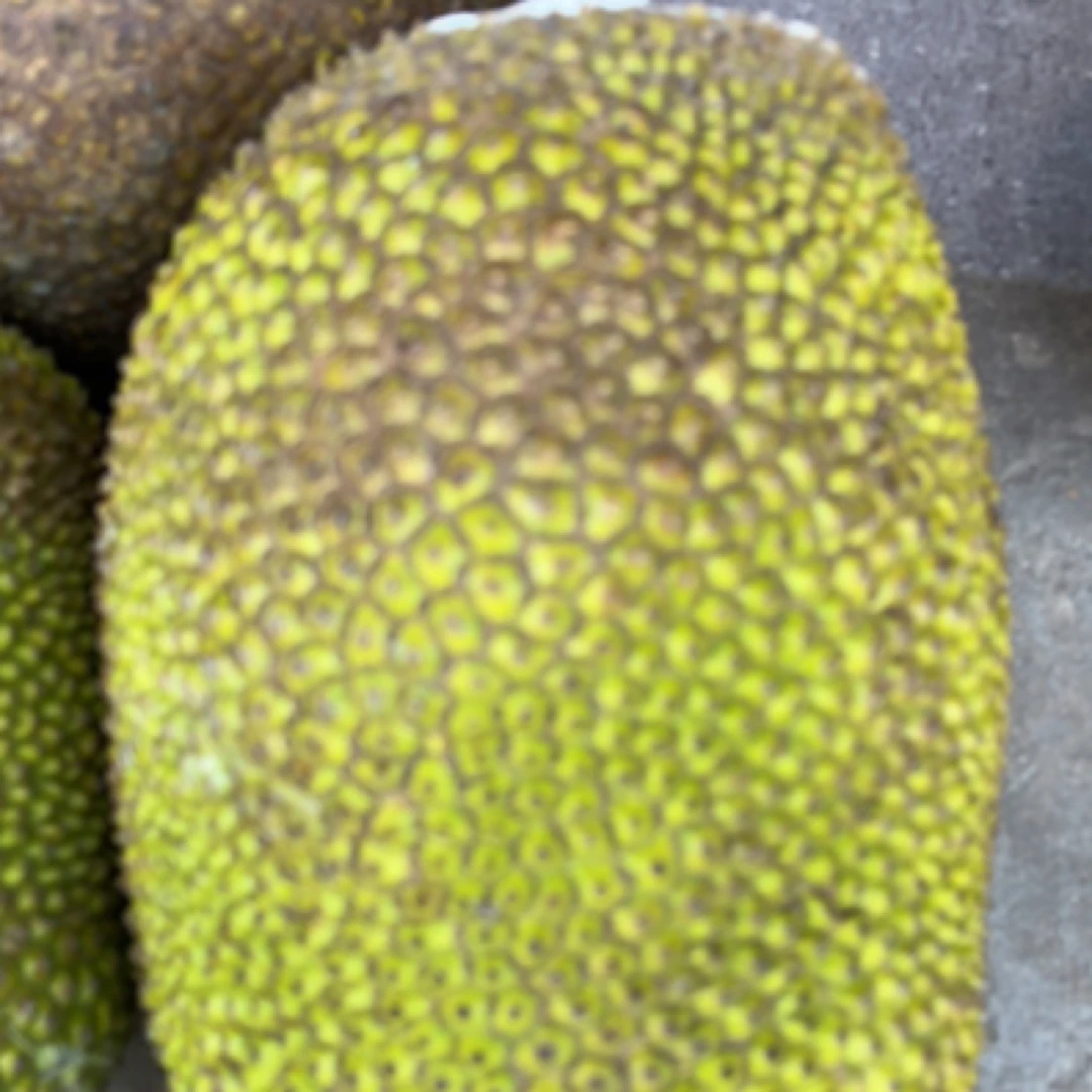 越南红肉菠萝蜜整果