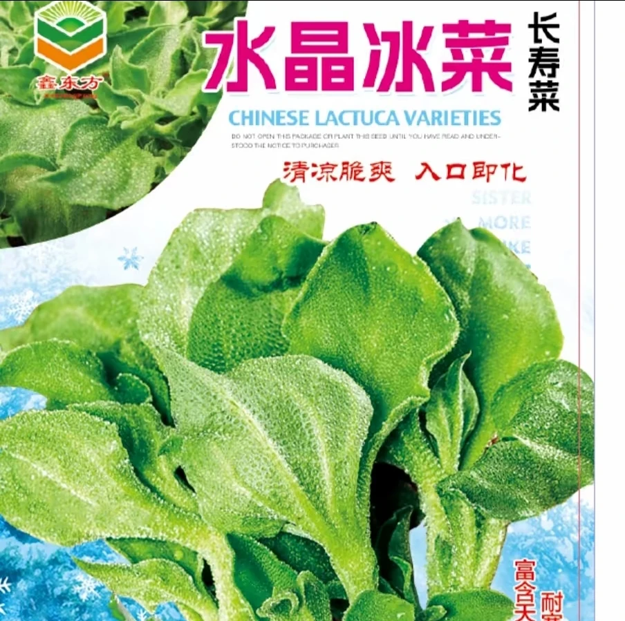 水 晶 冰菜 种子