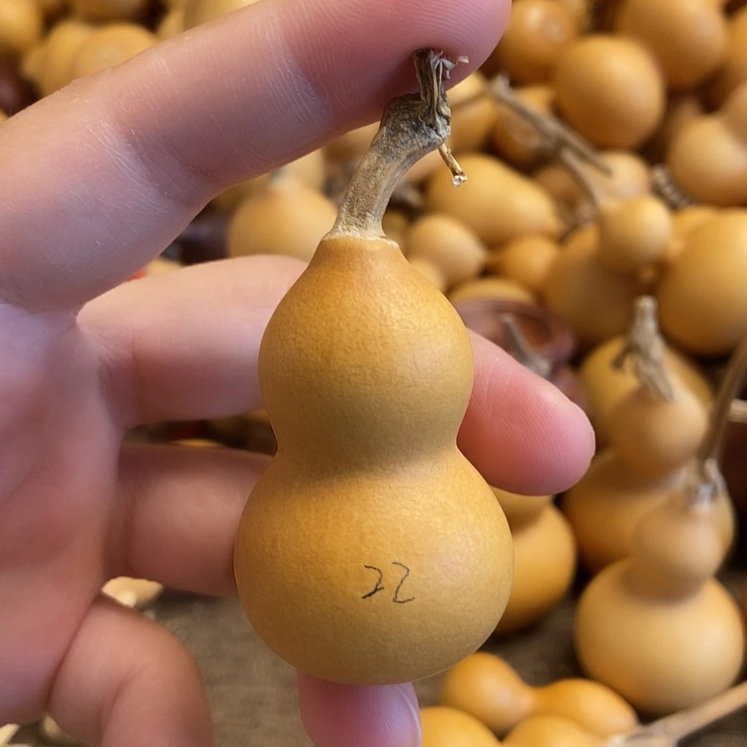 文玩葫芦 完美主义者 慎拍22