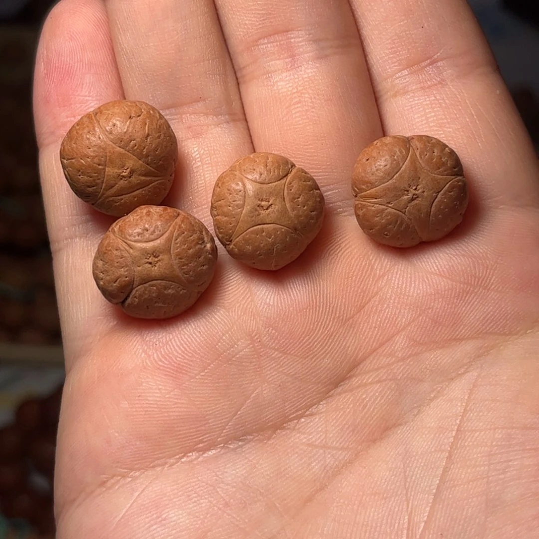 桃核吊坠17mm麒麟眼，开孔不退，偏远不包