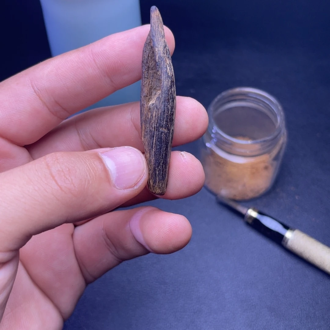香榧木越南沉水老树心3克