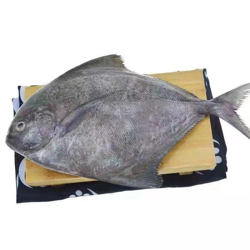 汕尾郭记本港海鲜批发 杂鱼套餐 多鱼套餐连接 以直播间为准