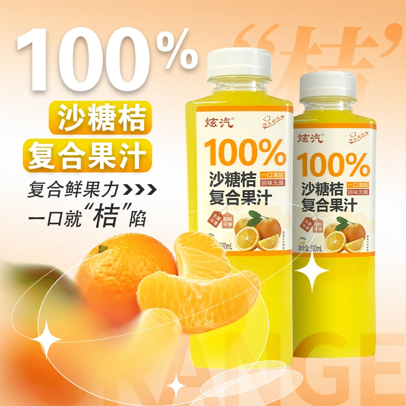 【500ml*10瓶】夏日必备饮品沙糖桔复合果汁饮料夏天解渴饮品