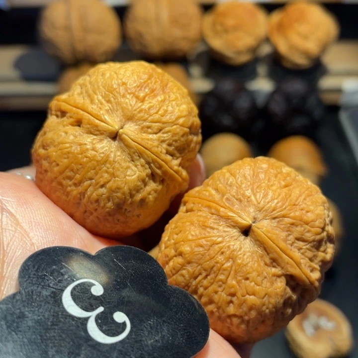 天鹅蛋核桃尺寸39