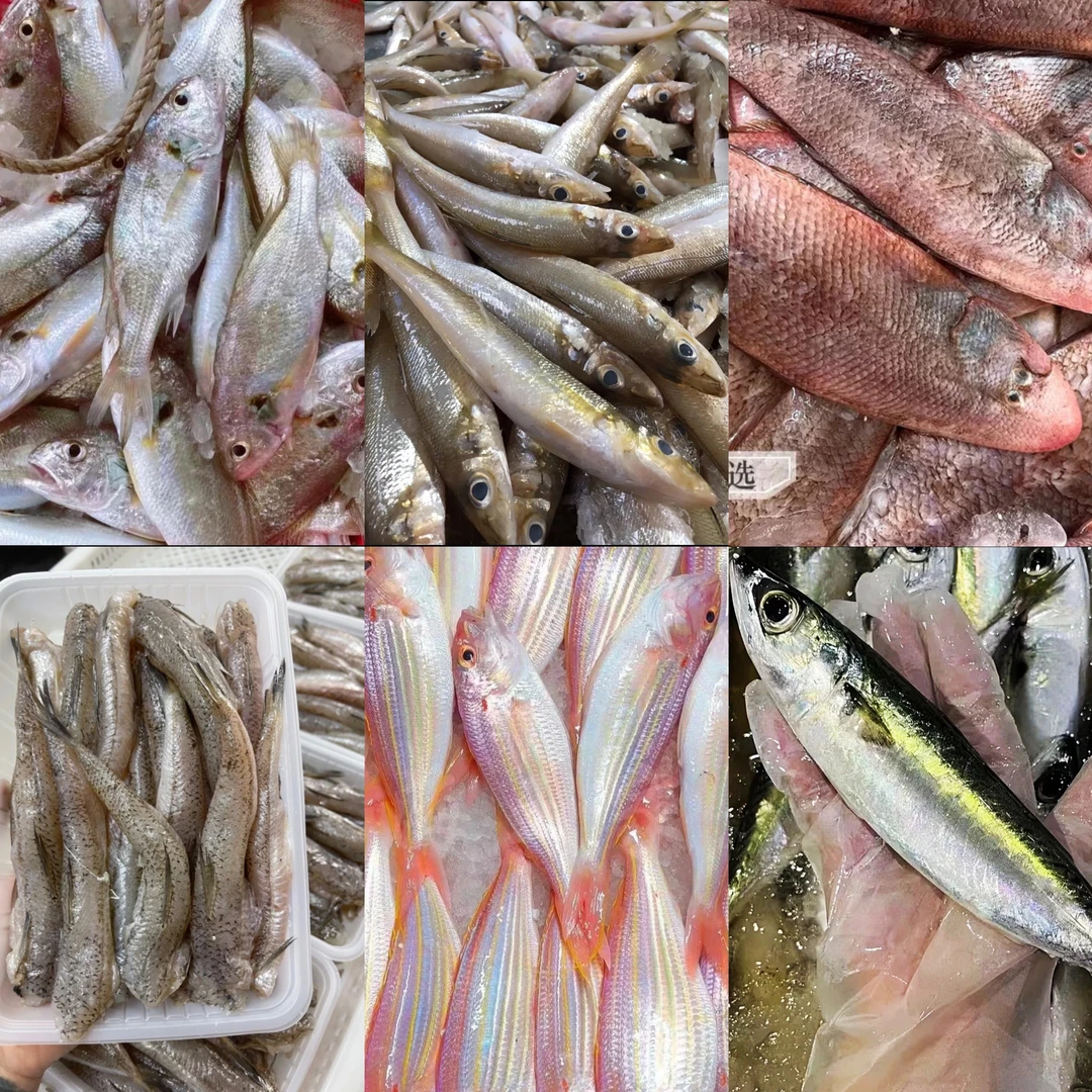 【6种海鲜大礼包】有（沙丁鱼-白划鱼-金线鱼-小龙利-花仙鱼-海鸥鱼）