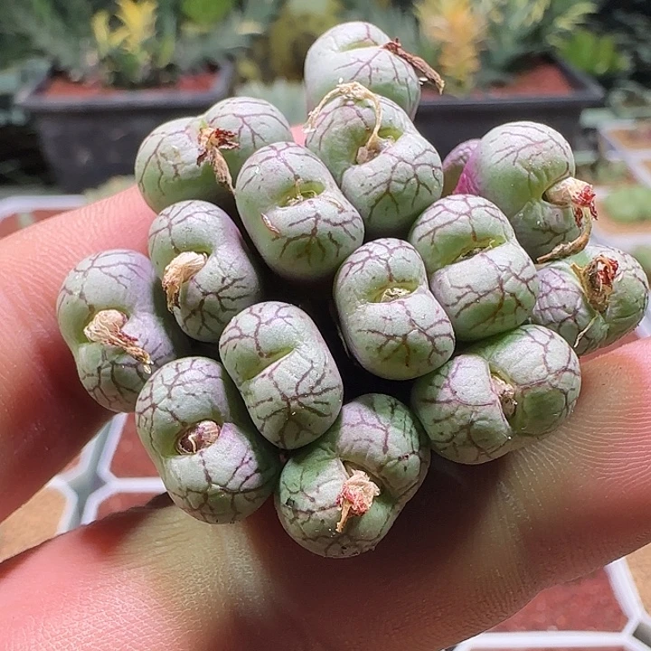 哈哈哈哈哈哈哈哈哈074