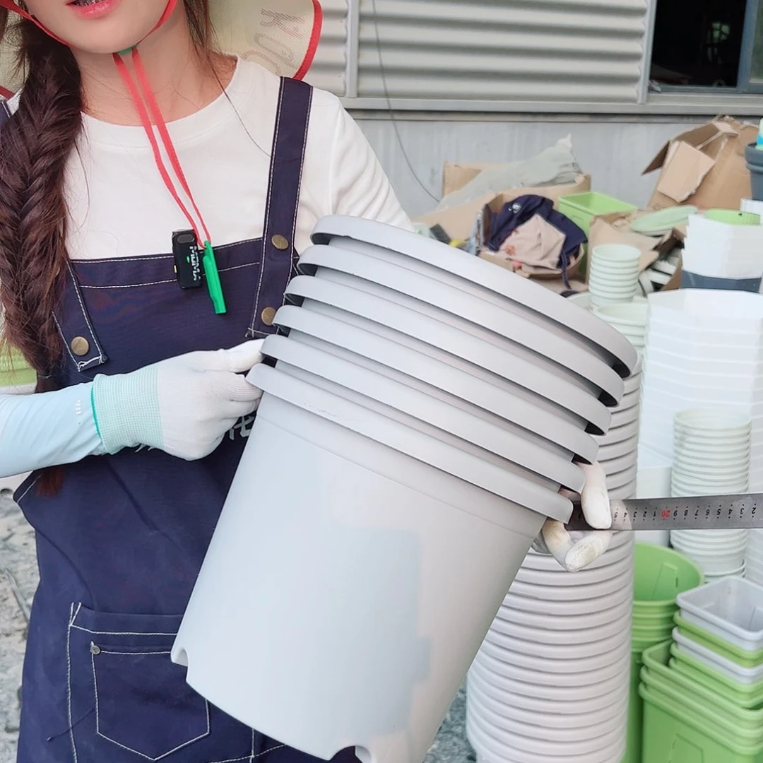 瑕疵四季盆5#灰白6个无托