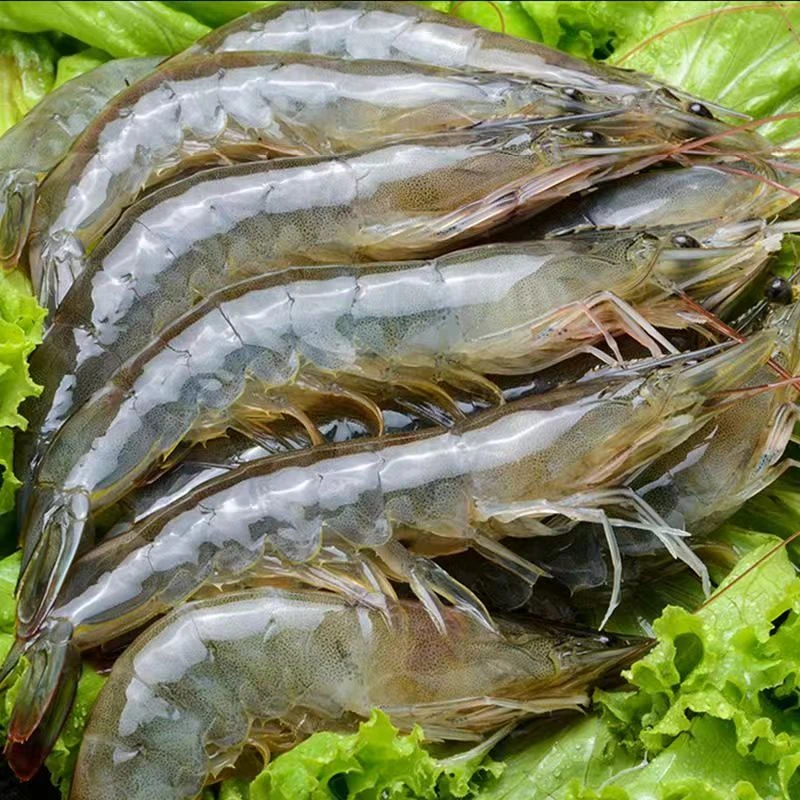 小河虾美味精品河虾