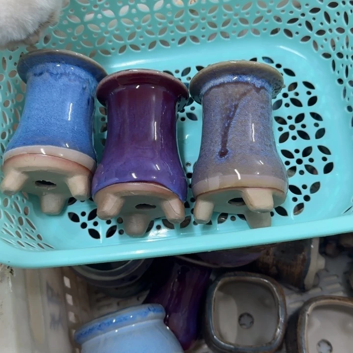 花盆花盆花盆花盆