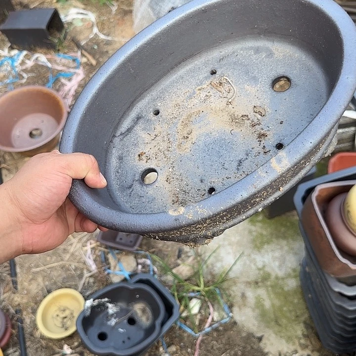 一天只喝一点奶茶一次药