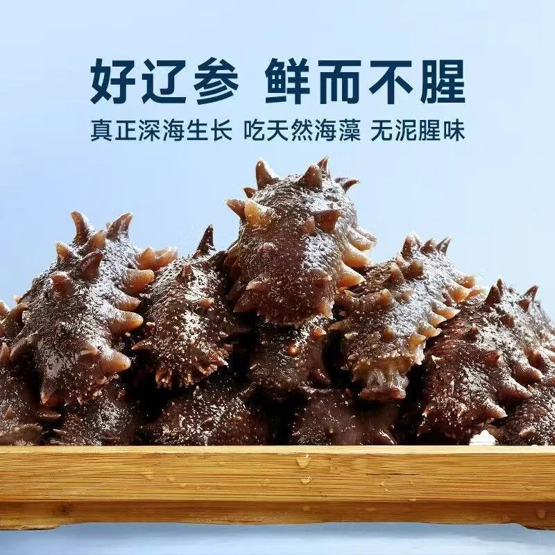 到手6根 即食辽参 开袋即实海参  非干货 即开即吃刺参免泡发