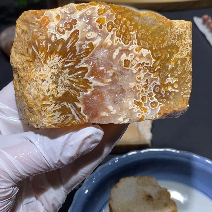 【闪购商品】未镶嵌珊瑚玉硅化玉