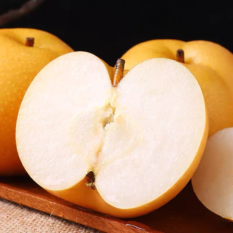 【牧疆山】山东秋月梨新鲜现摘脆甜多汁当季水果