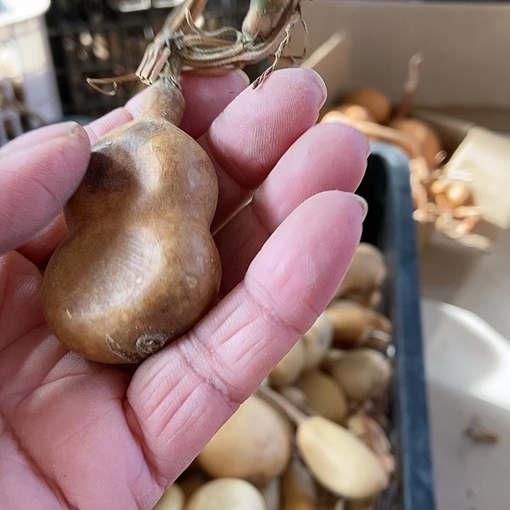 福*s d j fk c dk d d d