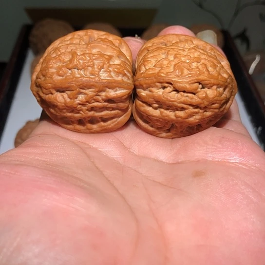 有机玻璃全家福39全品铁锤