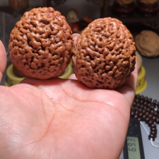 嗯***嗯橄榄核吊坠练手三瓣脑纹金刚