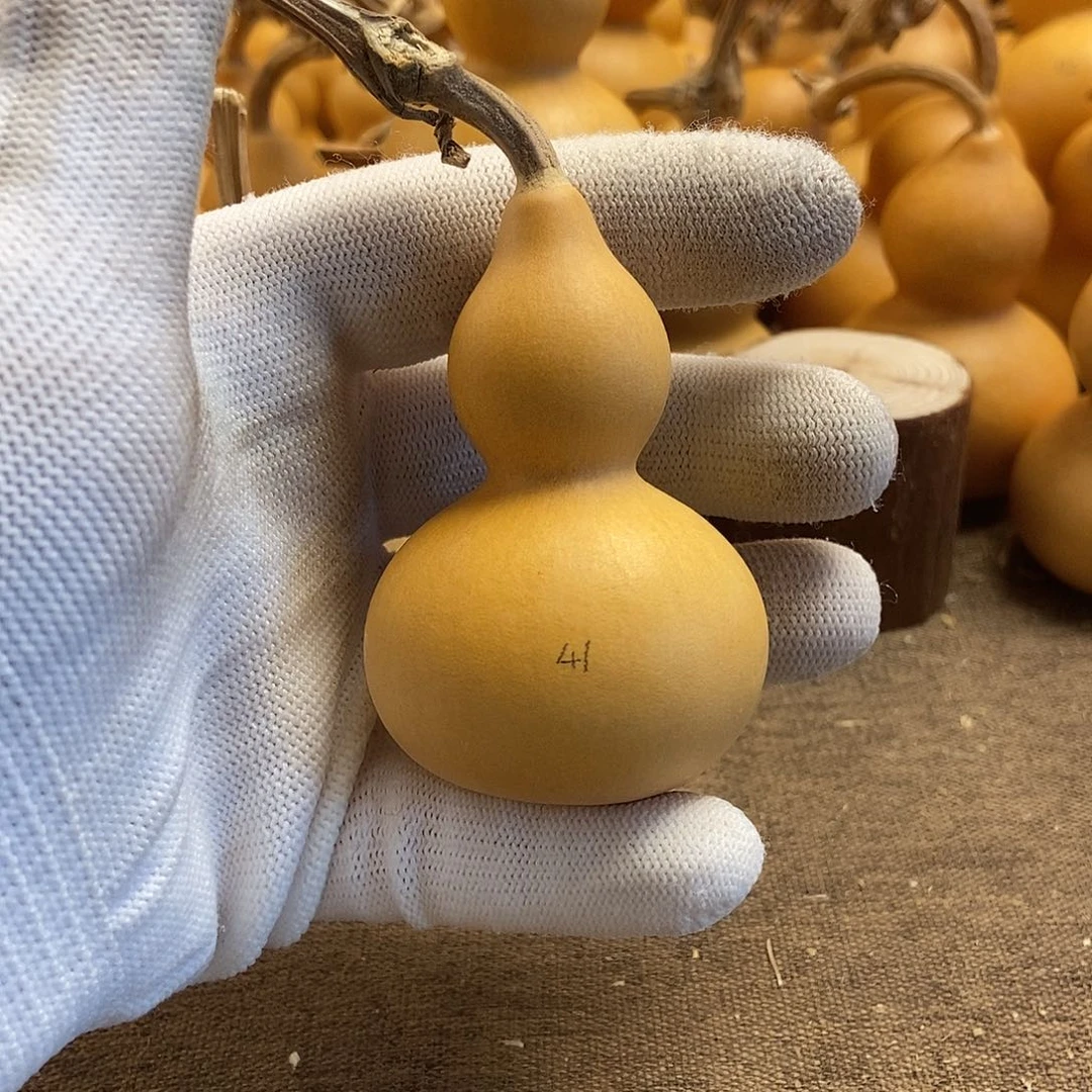 文玩葫芦 完美主义者 慎拍41