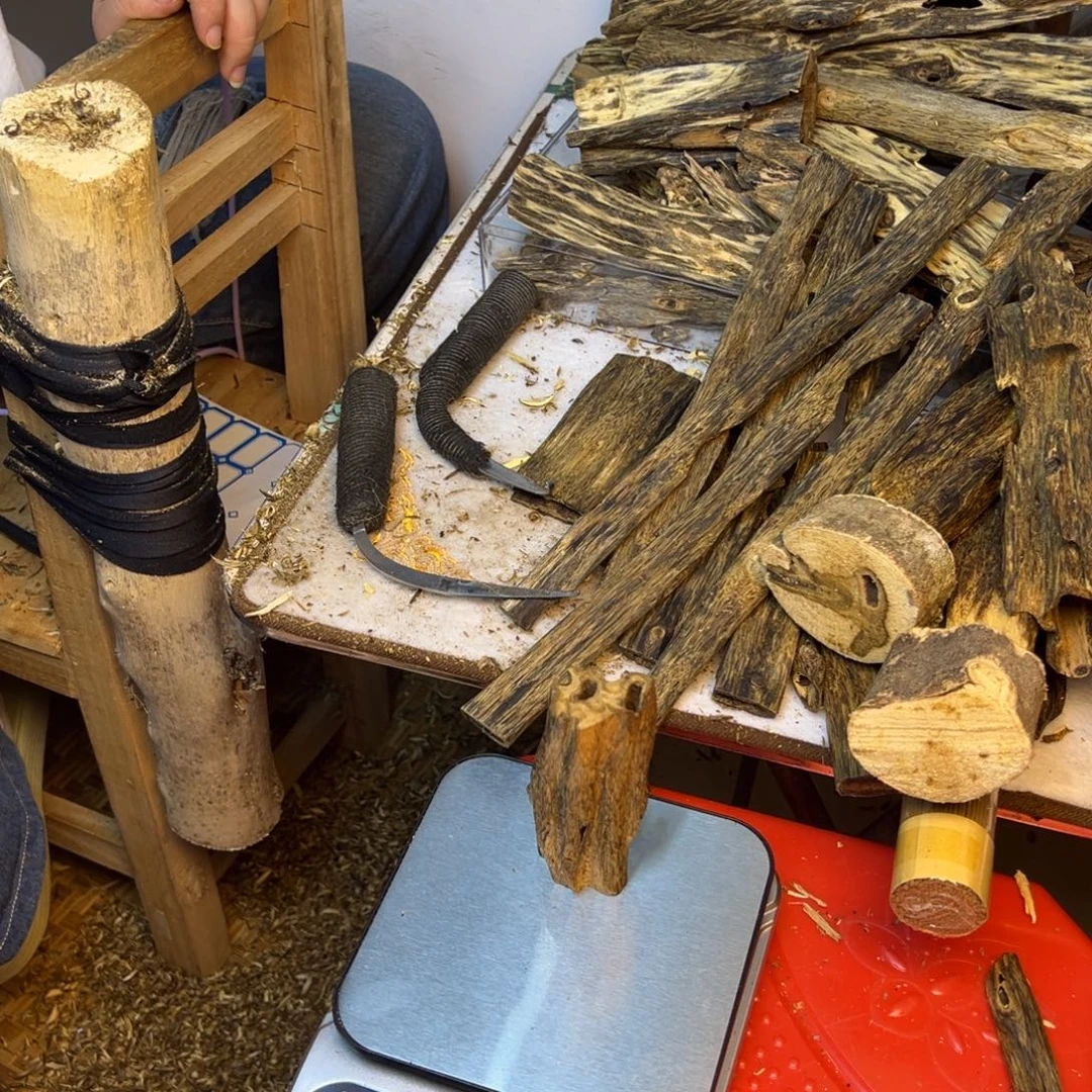 线香奇楠虫漏香45克