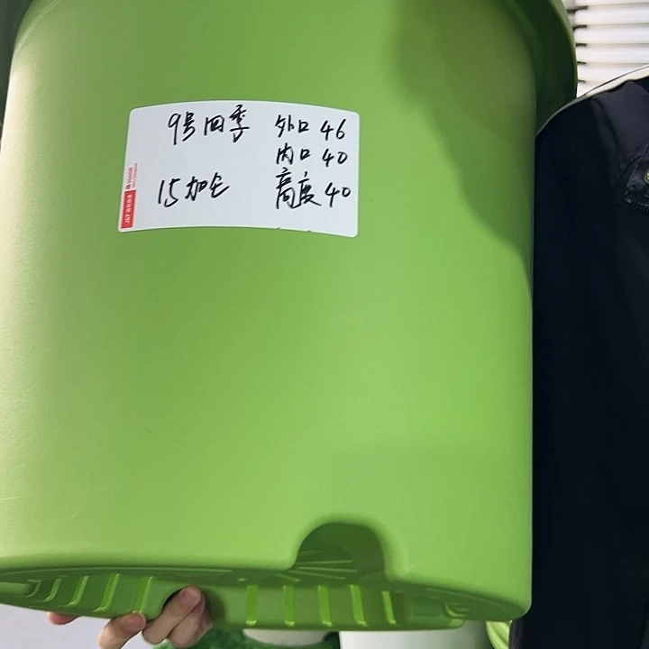 特价9号四季口46高40果绿无托2只