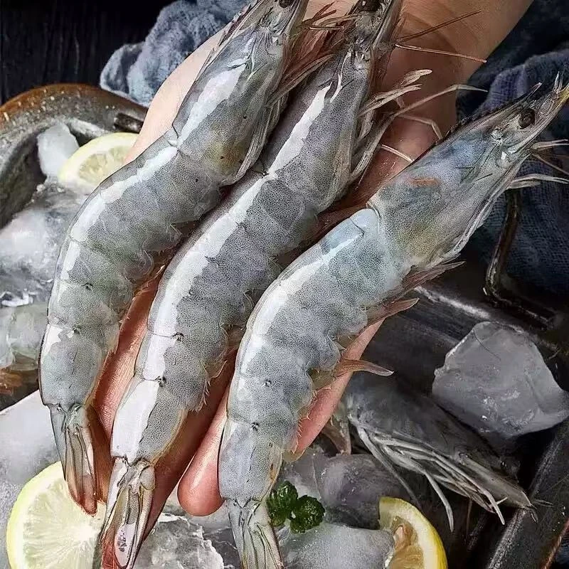 【帅帅推荐】30/40海虾15-18cm左右43-50只左右活鲜速冻3斤