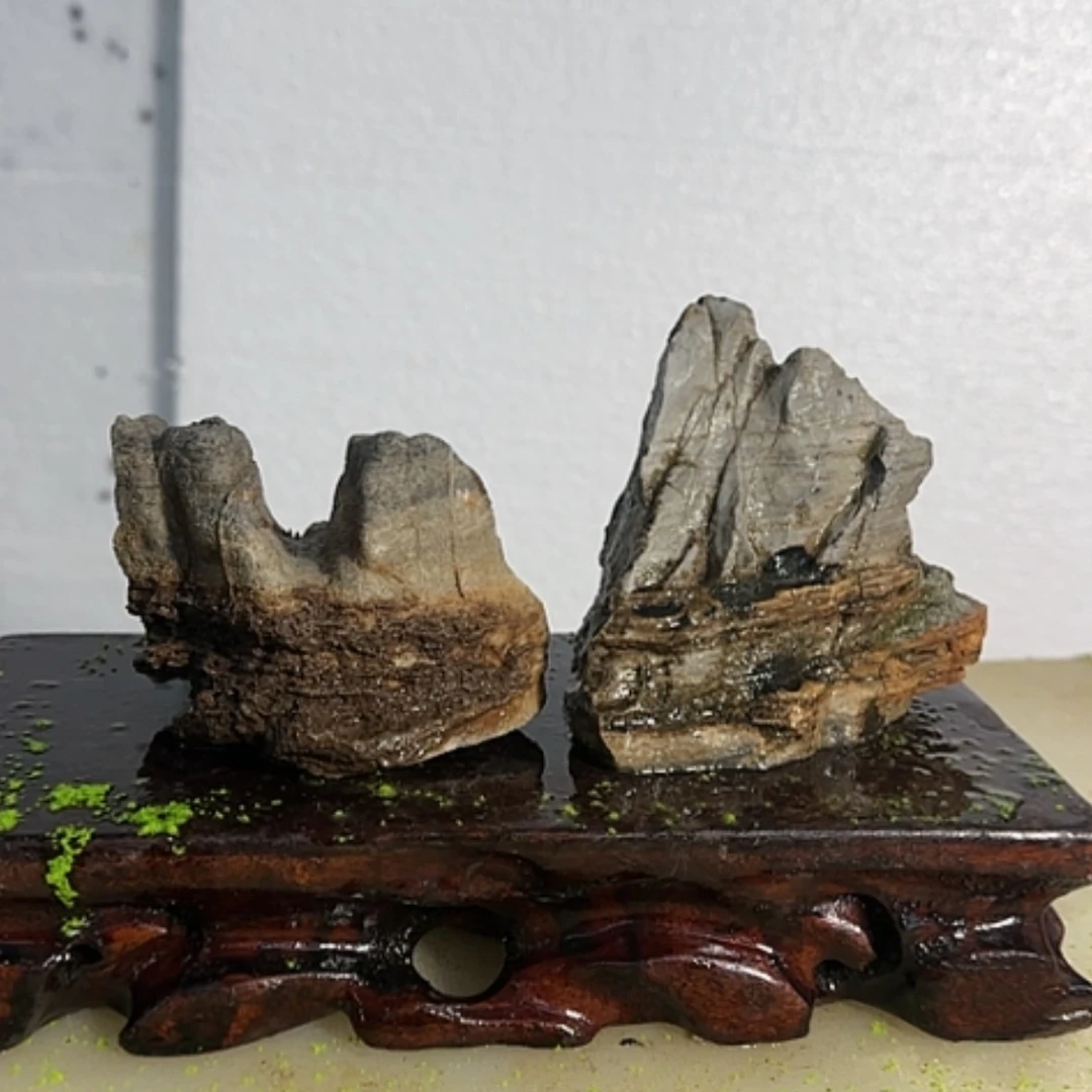 【闪购商品】香榧木翘*哦。这个时候的自己