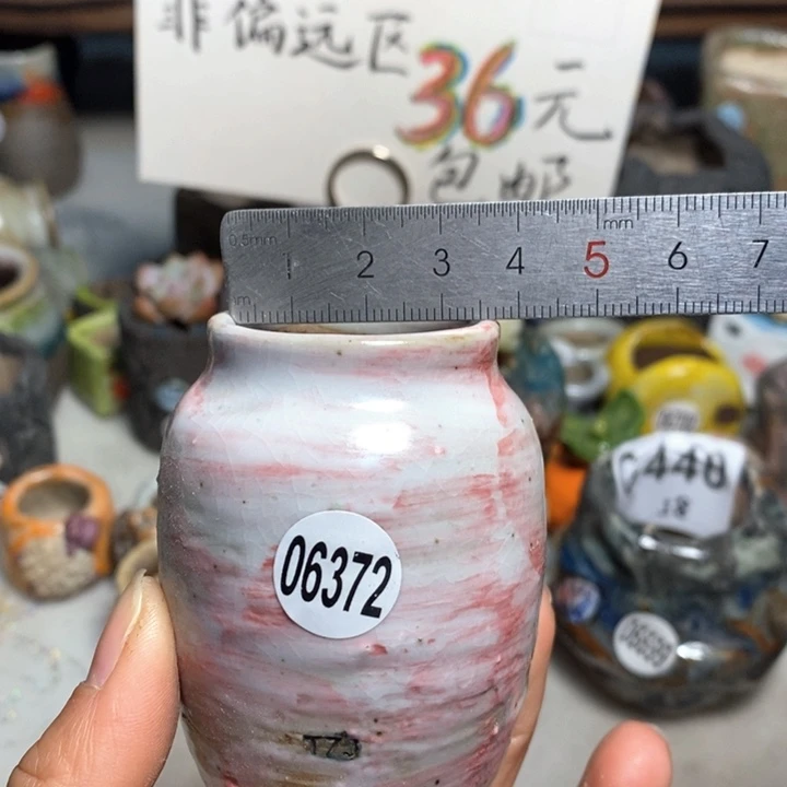 拍5送一个小礼物花盆