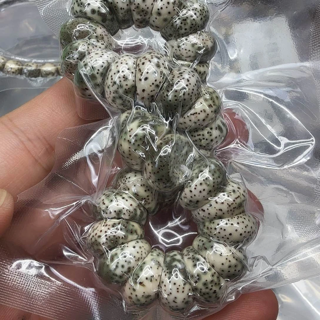 星月菩提手串113傲视星月菩提单圈大肠14