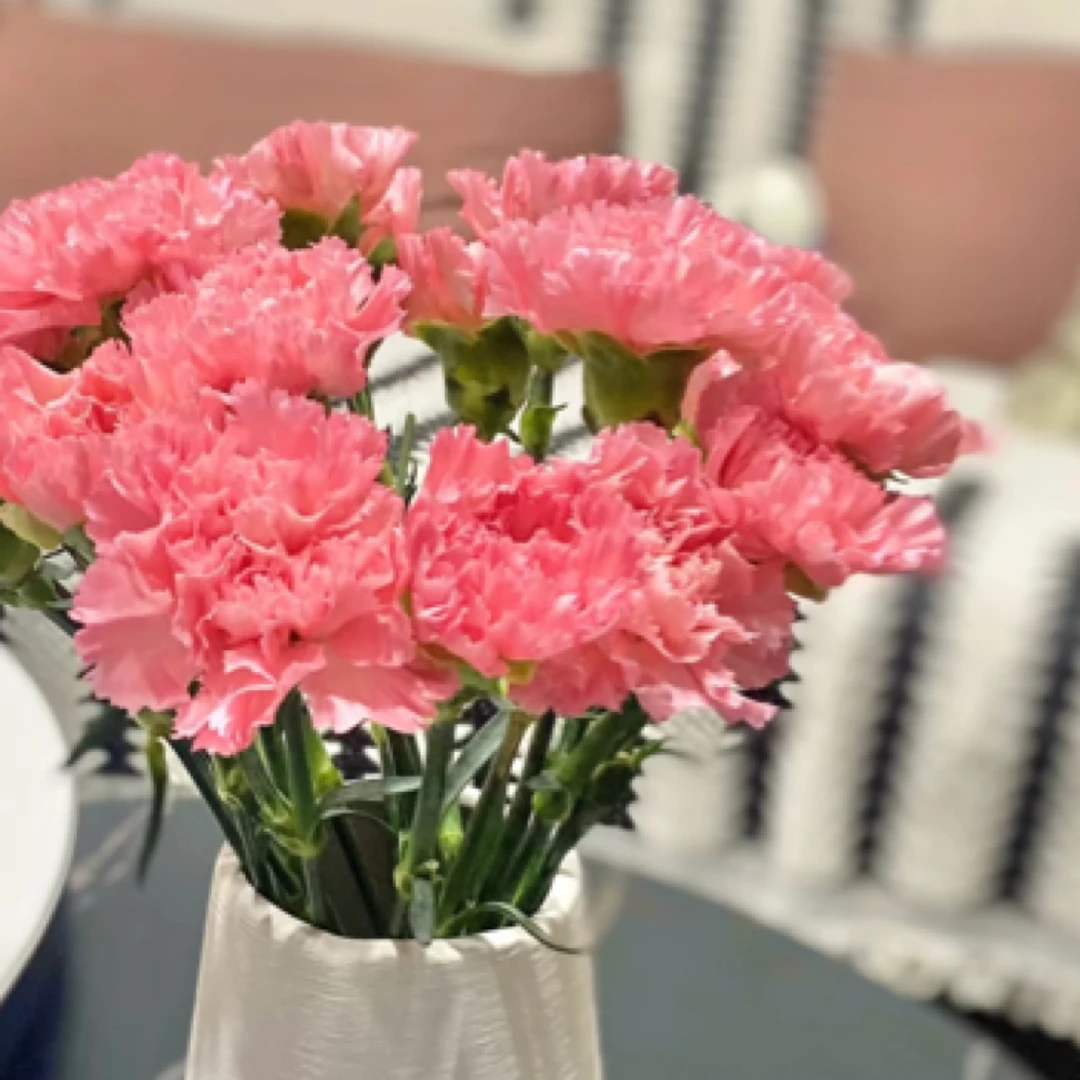 康乃馨鲜花10支粉色康乃馨鲜花家居花杭州同城快递发货