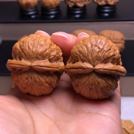 文玩核桃把件金龟玉甲6
