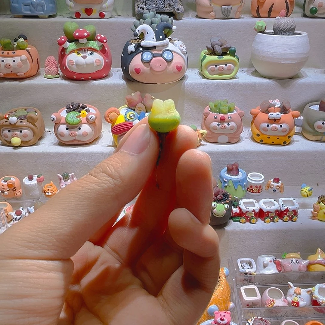 安***妮安小妮专属链接拍拍