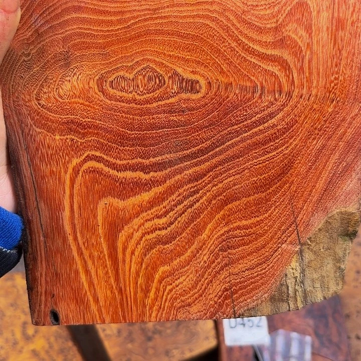 木心*小叶羊蹄甲红色纹理