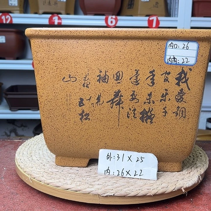 紫砂花盆蛇年大吉