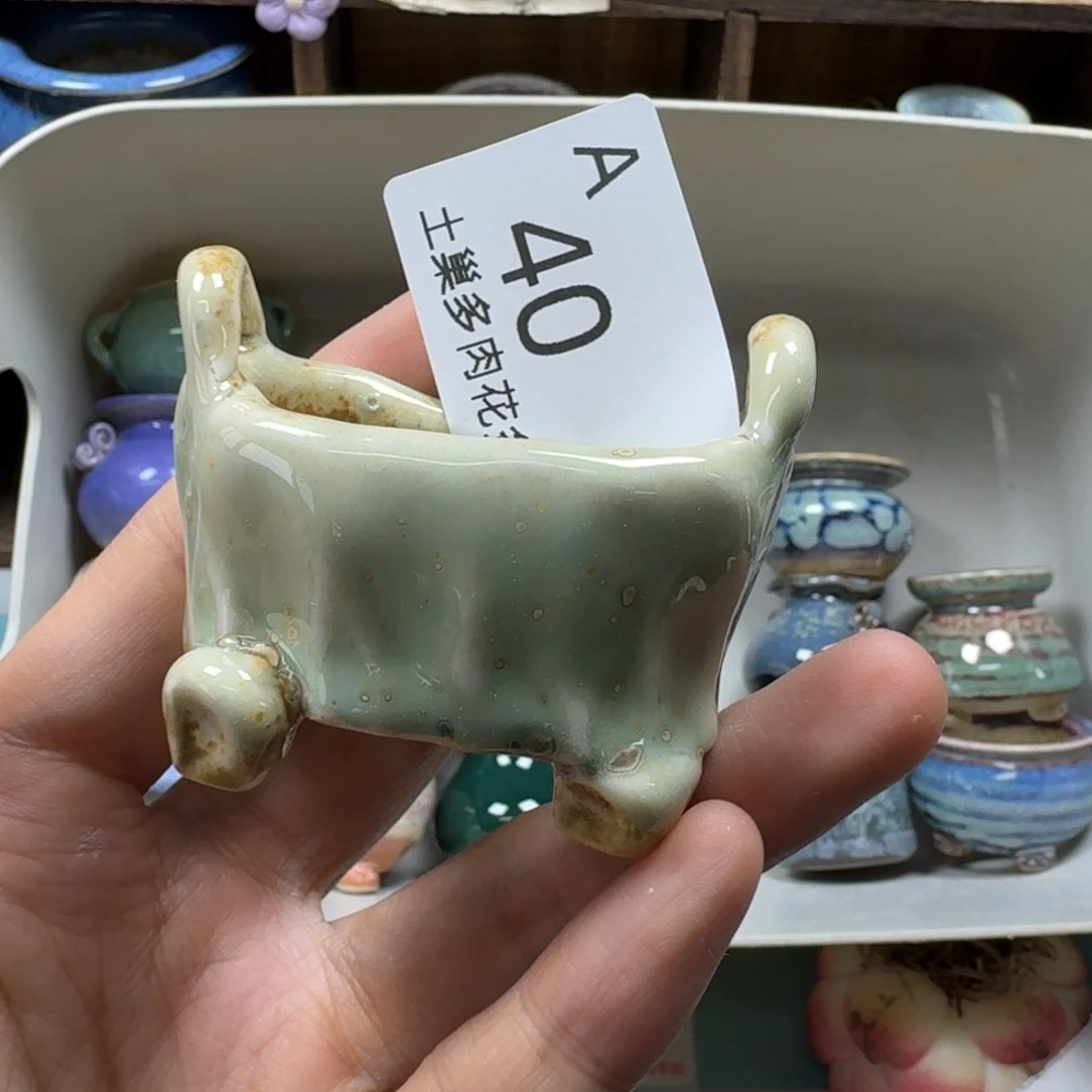 毒***舌陶瓷艺术设计与制作