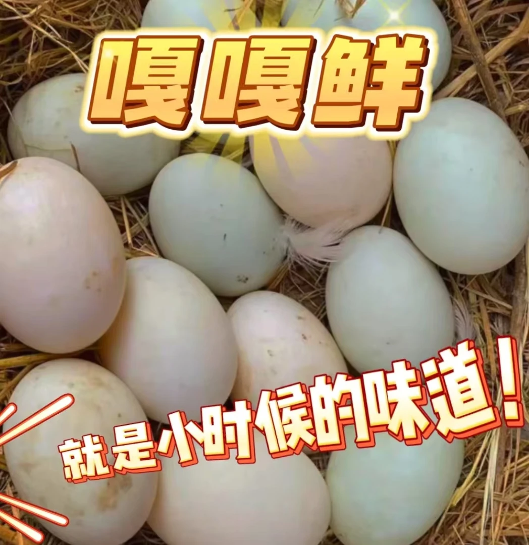 散养鸭蛋营养整箱新鲜鸭蛋农家散养北海海鸭蛋土鸭蛋广西红树林
