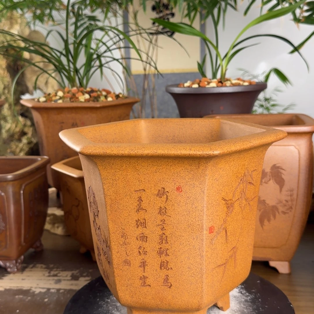 大***鹰紫砂花盆紫砂花盆