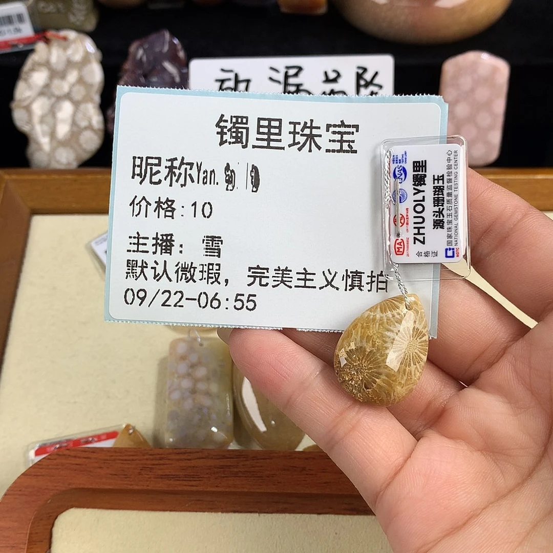 Y****吊坠(赠链)未镶嵌硅化珊瑚（珊瑚玉）