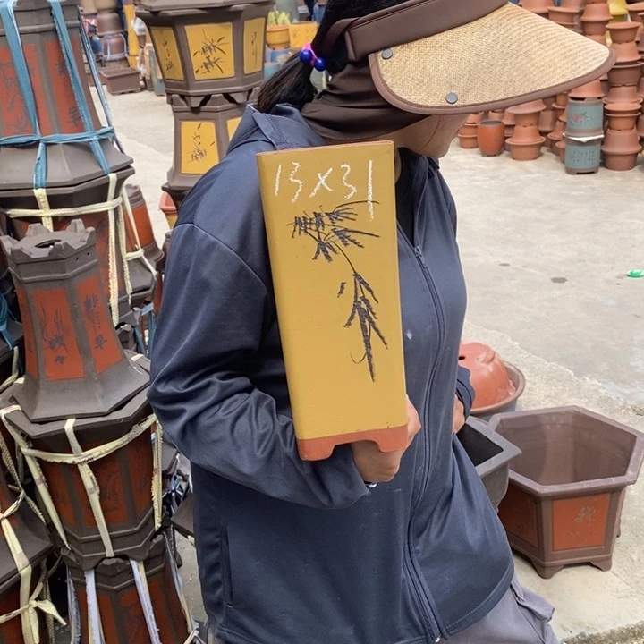 紫砂花盆盆栽花卉苗木种植