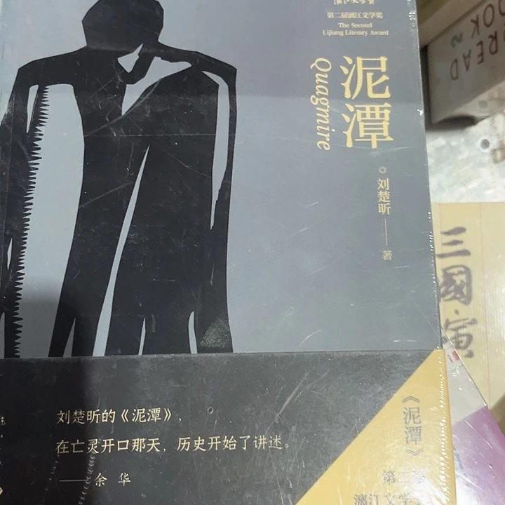 泥潭全新推荐平装