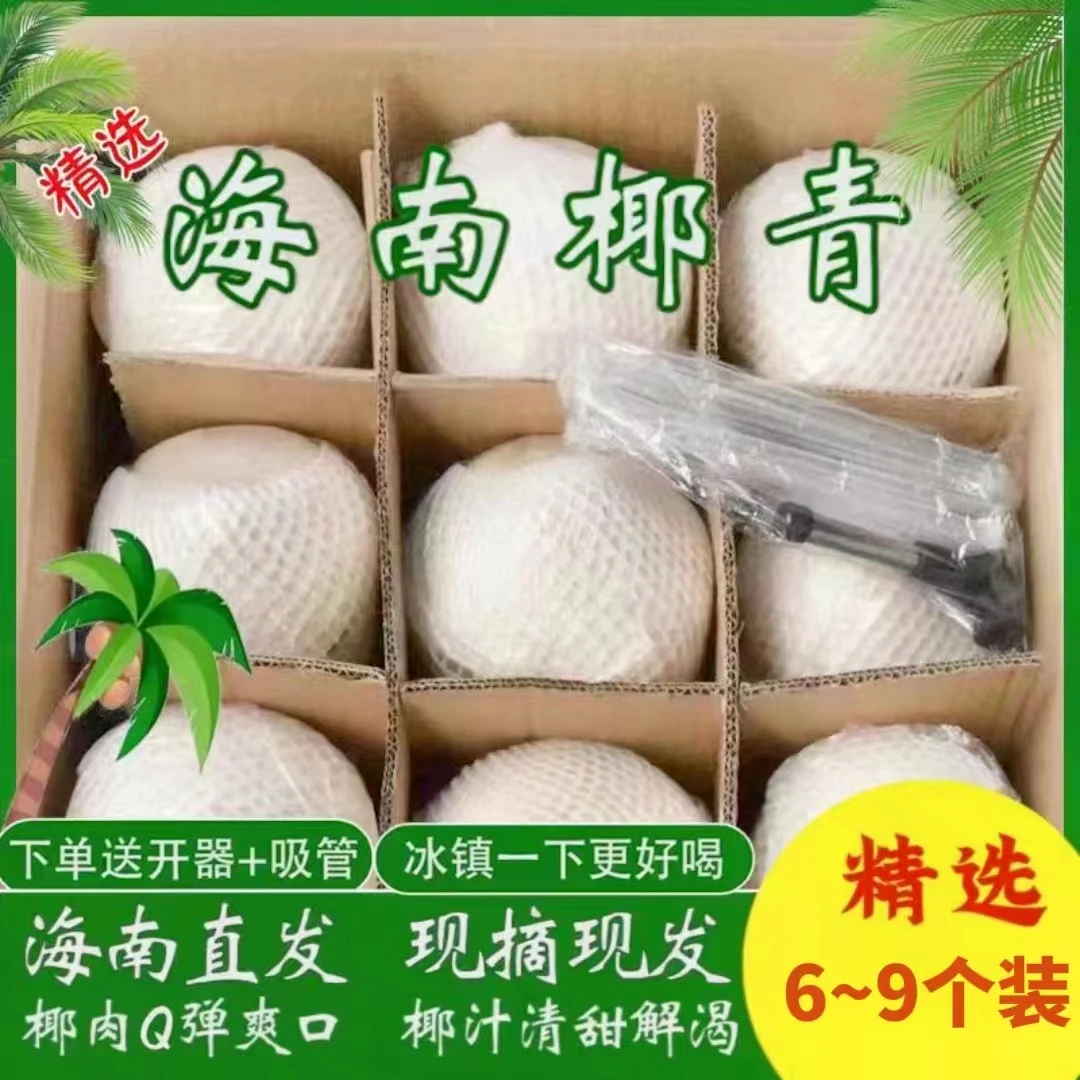 海南文昌新鲜椰子特产果地现摘去皮椰青6/9个装当季水果整箱包邮