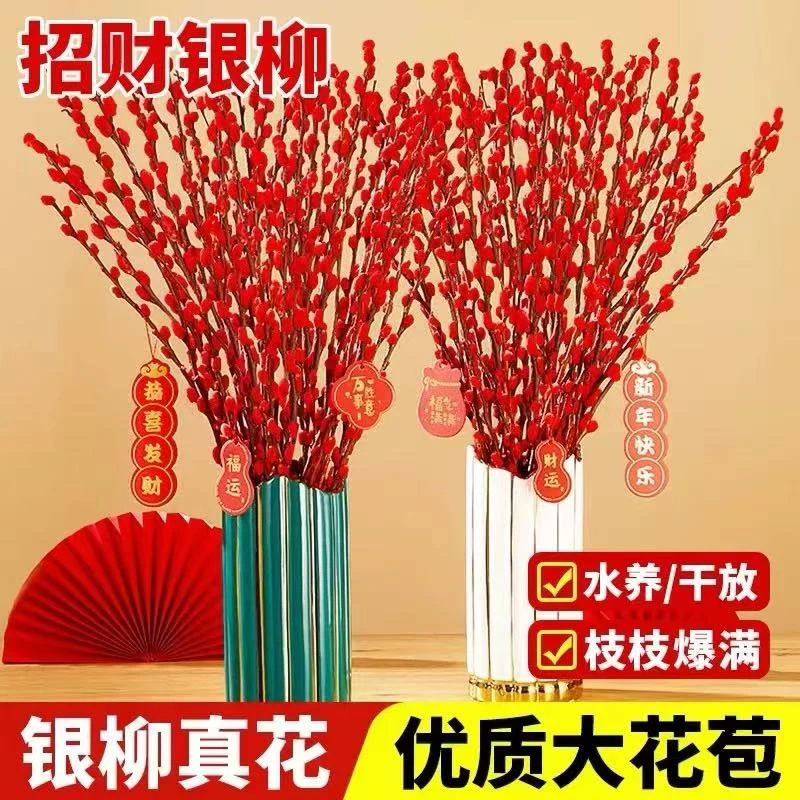 【20枝银柳带花瓶挂件】真花鲜枝客厅干花摆件红色年宵花卉