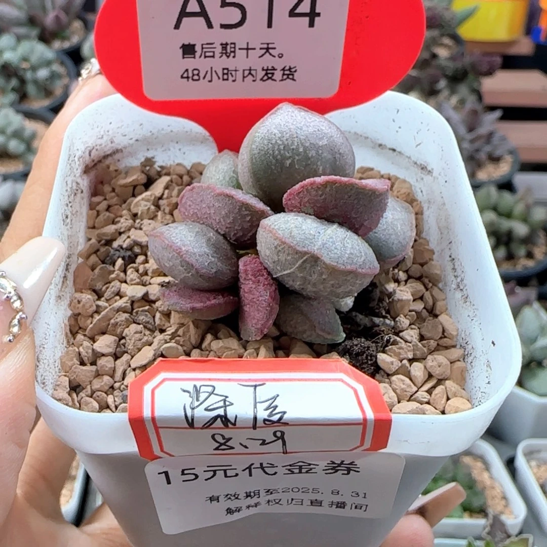 深***度代金。   15。          514
