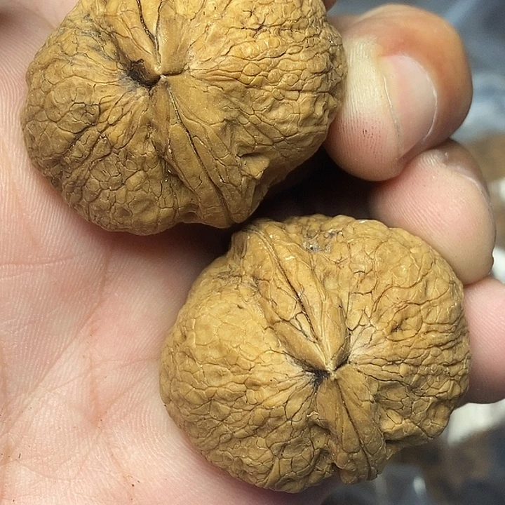 把件文玩核桃志成云铁文玩96