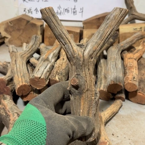 大果紫檀（缅甸花梨）呼***谎