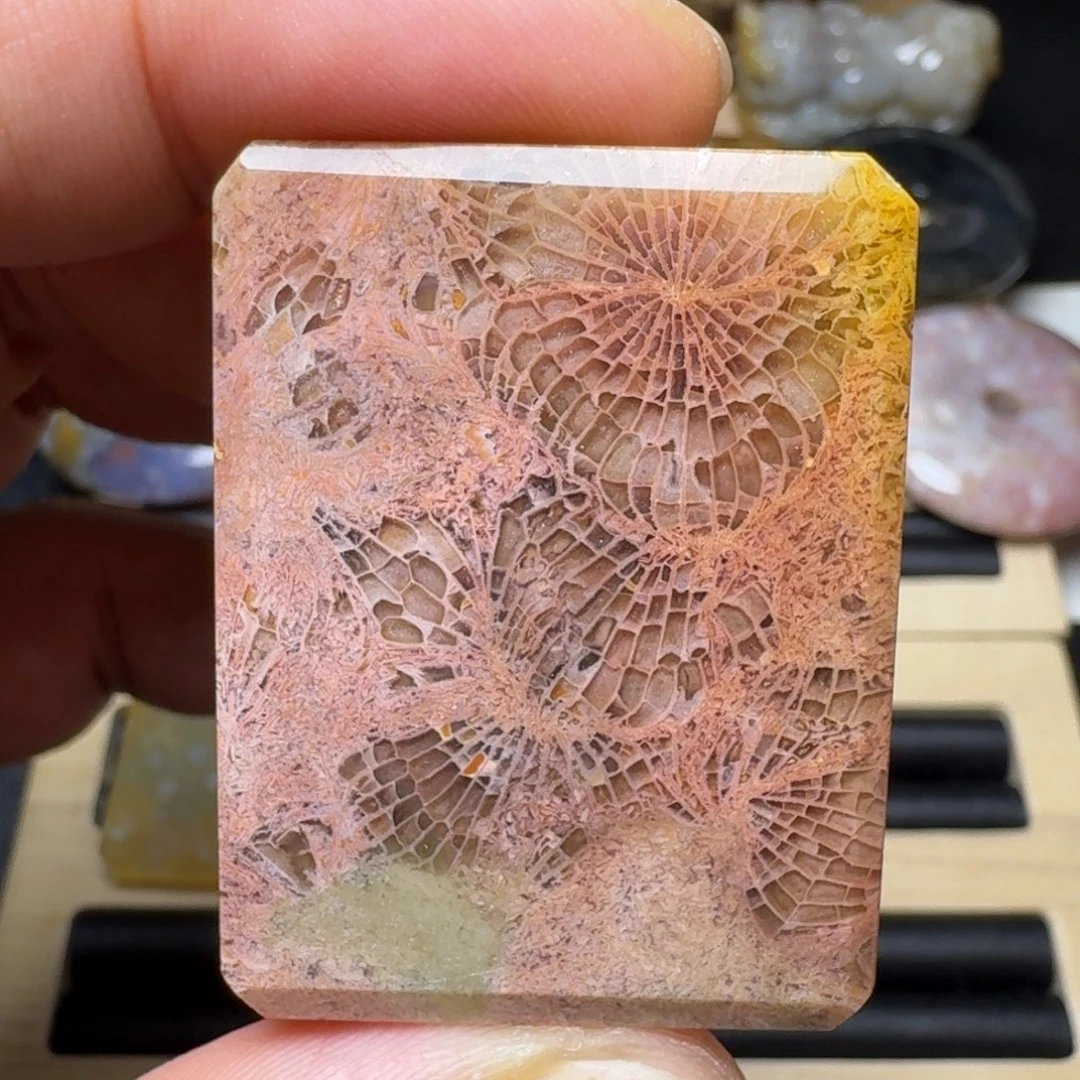 硅化玉未镶嵌纯天然色有机玉石保真色