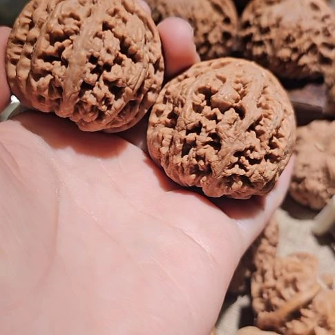 文玩核桃吊坠44粗筋