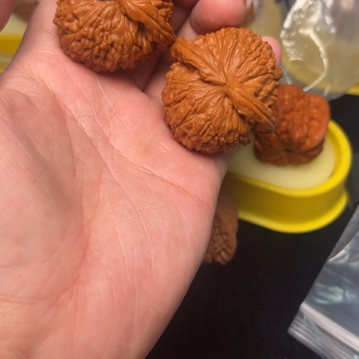 核桃白狮子，45已打底